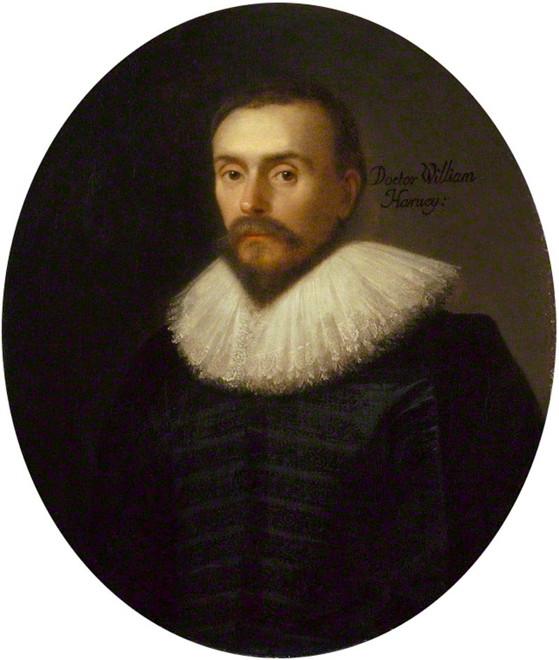 A portrait of 17th-century Cambridge physician William Harvey. The portrait was painted circa 1627 and attributed to Daniël Mijtens.