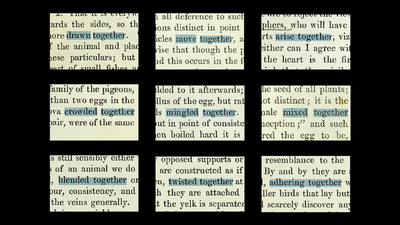 A series of quotes from Cambridge physician William Harvey, that artist Mark TItchner has highlighted during the development stage of the artwork Together We